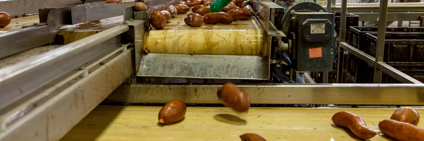 生産ラインの様子のイメージ写真