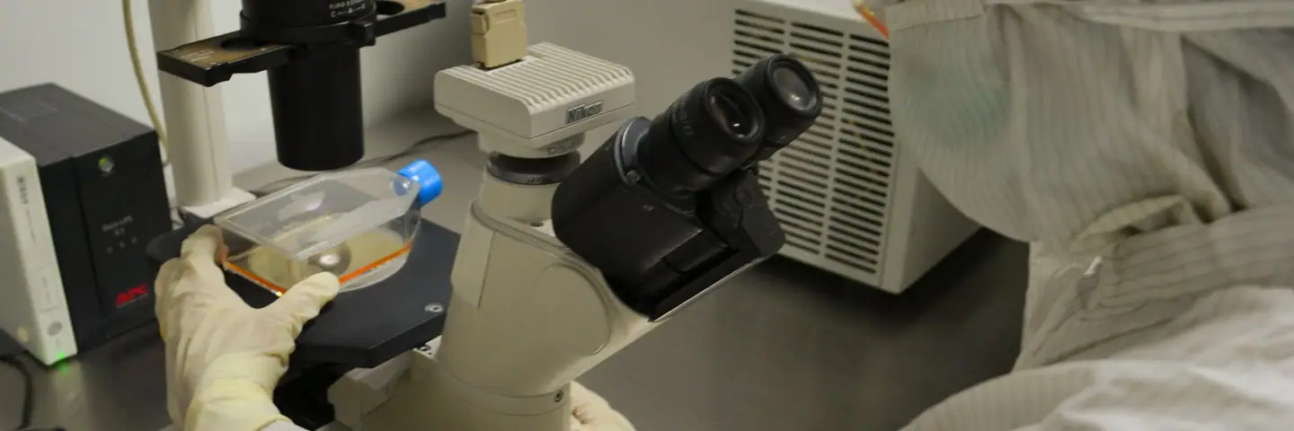 生産ラインの様子のイメージ写真
